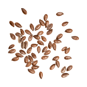 product_05